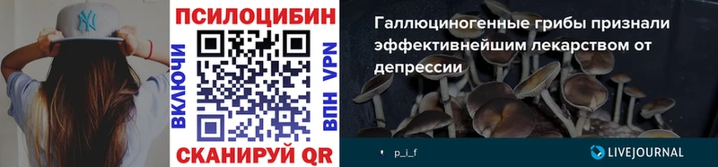 Галлюциногенные грибы прущие грибы  Нерчинск 