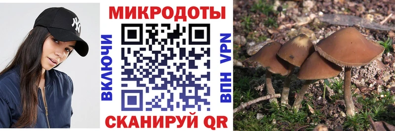 Псилоцибиновые грибы Psilocybine cubensis Нерчинск